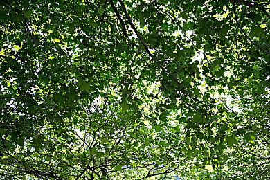 《黑帝斯2》成为Steam愿望单第二 超越《空洞骑士：丝绸之歌》