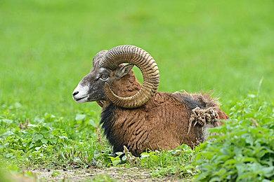 去往地狱送快递的射击冒险游戏 《地狱速递》宣传片首度曝光